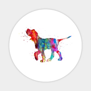 Italian Spinone Magnet